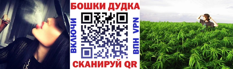 Виды наркотиков купить Норильск ГАШИШ  Кокаин  Меф  Амфетамин  Конопля  A-PVP 