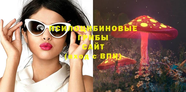 бутират Горняк
