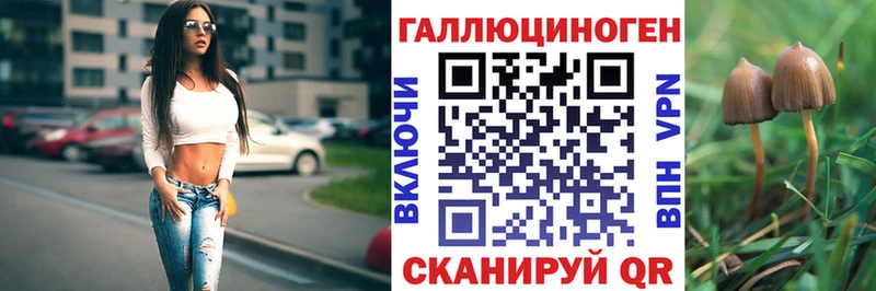 Галлюциногенные грибы Cubensis  OMG сайт  Норильск 